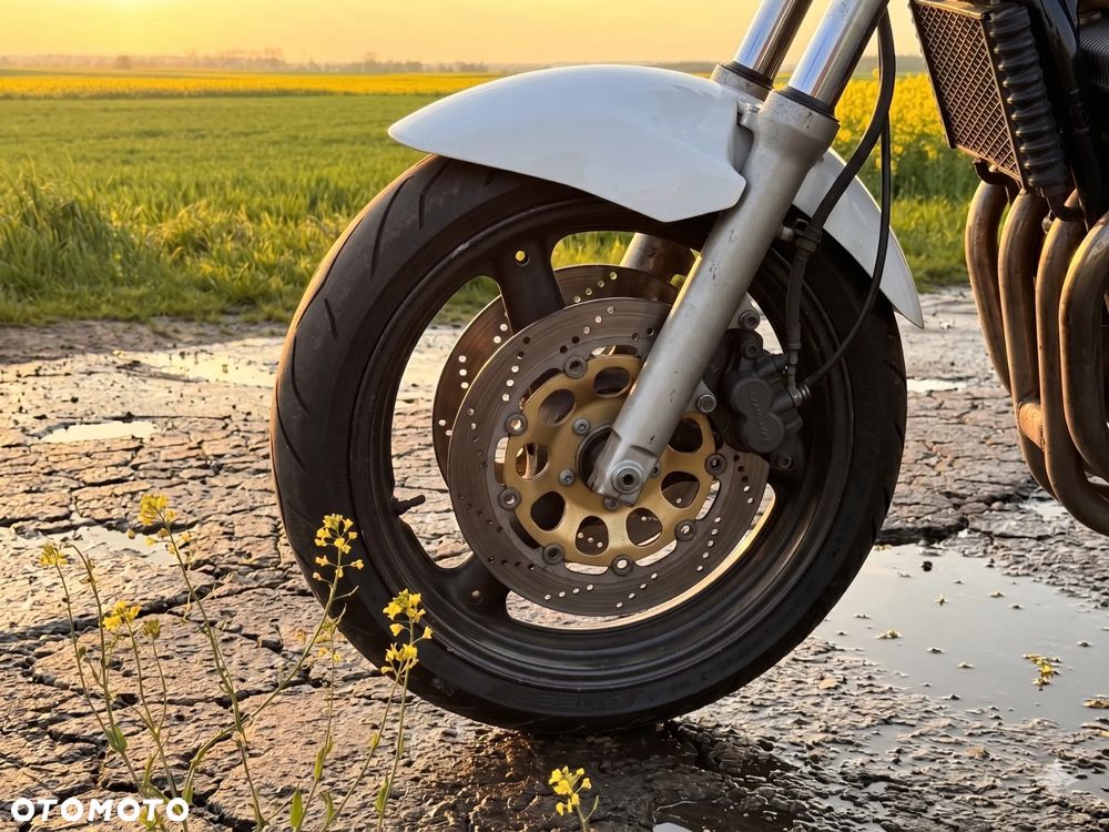 Suzuki Bandit - 4