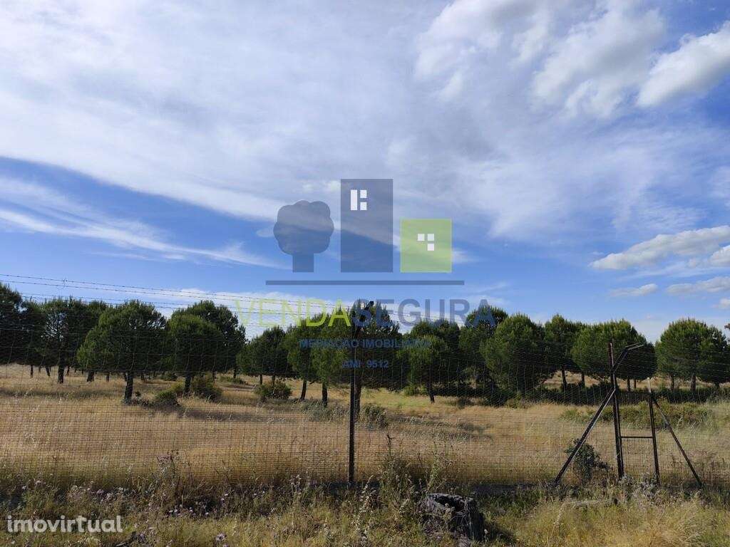 Terreno Rústico 10,6875 Ha |Amareleja - Grande imagem: 2/5