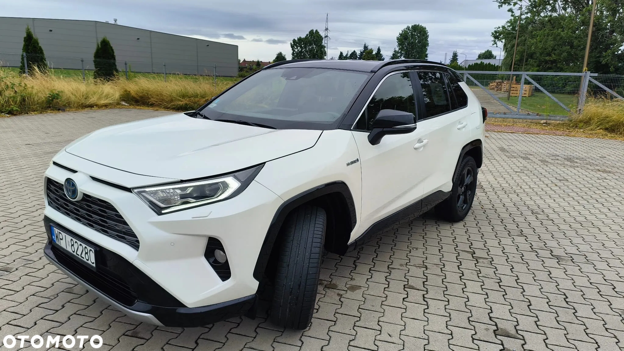 Toyota RAV4 2.5 Hybrid Selection 4x2 - 2
