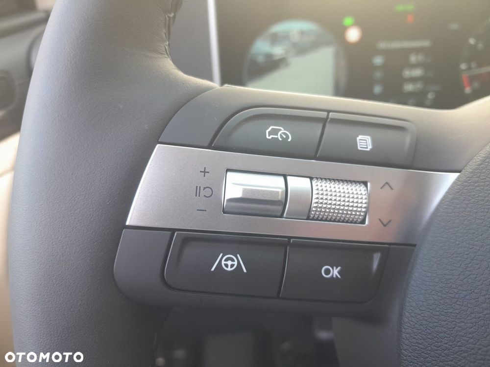Hyundai Tucson 1.6 T-GDi Platinum 2WD - 18