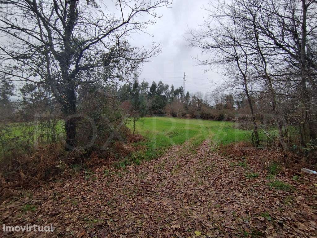 Terreno - Ganfei, Valença - Grande imagem: 3/10