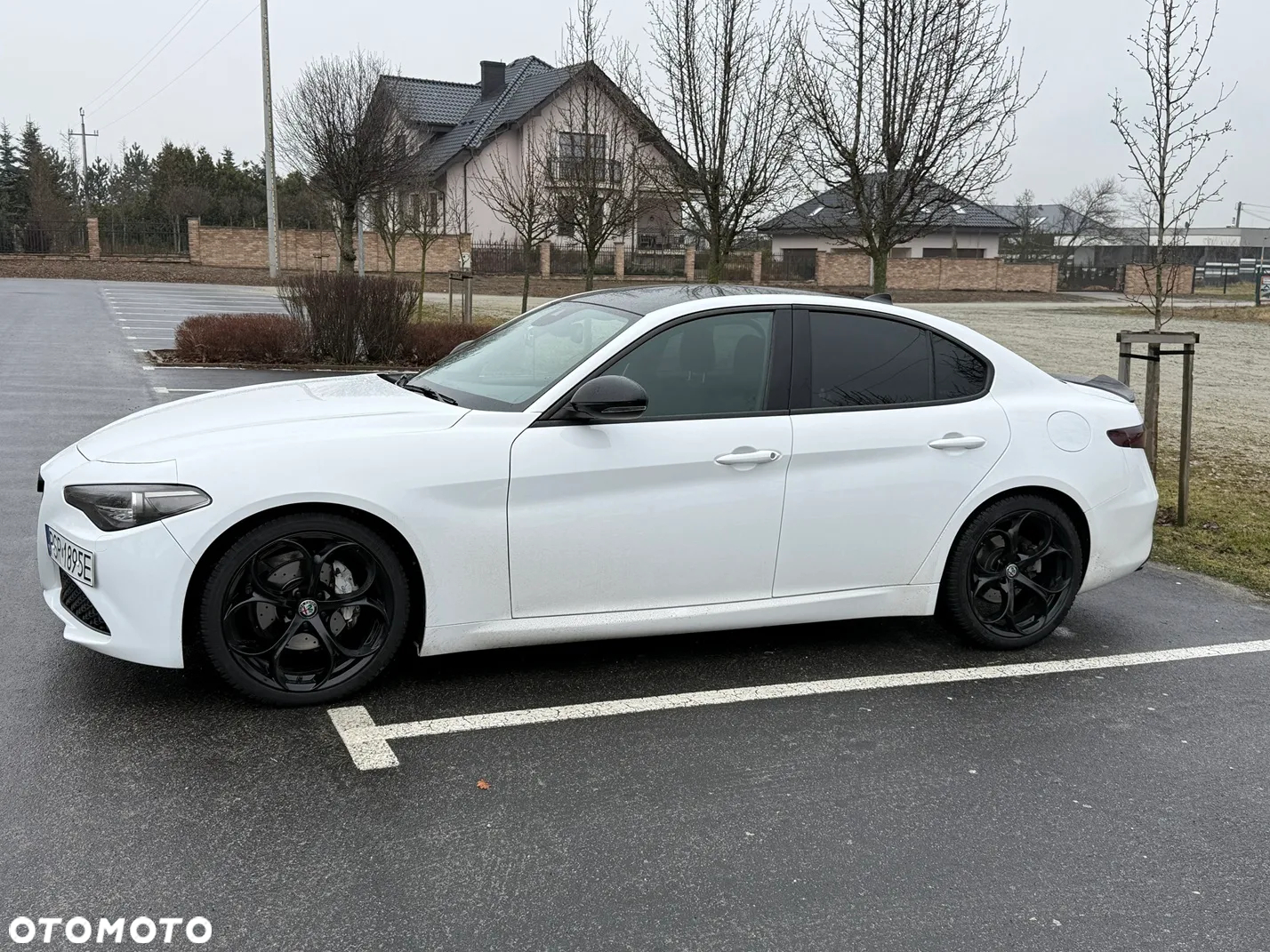 Alfa Romeo Giulia 2.0 Turbo Sprint - 2