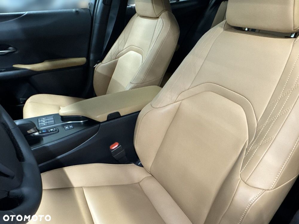 Lexus UX 300h F Sport Design AWD - 18