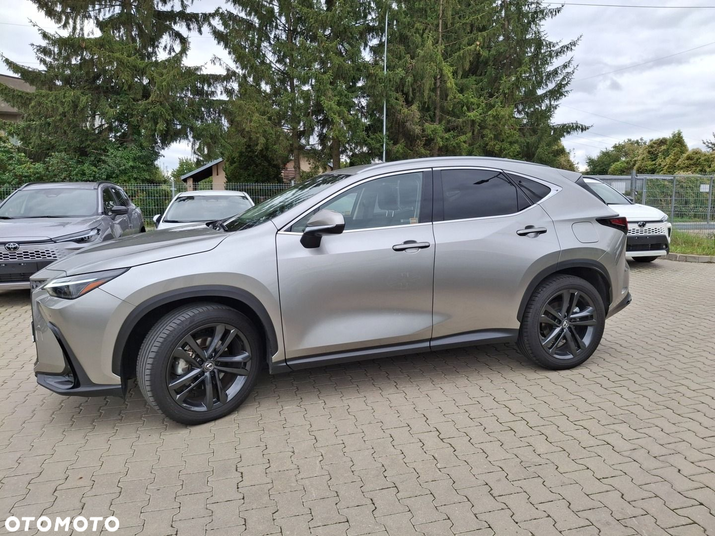 Lexus NX 350h Prestige AWD - 35