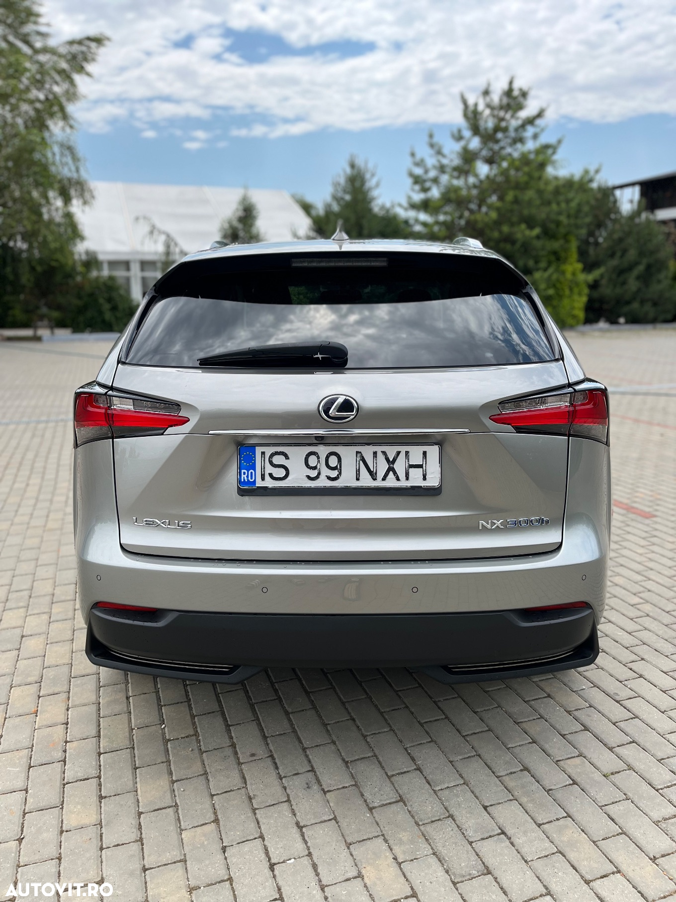 Lexus Seria NX 300h AWD Executive Plus - 7