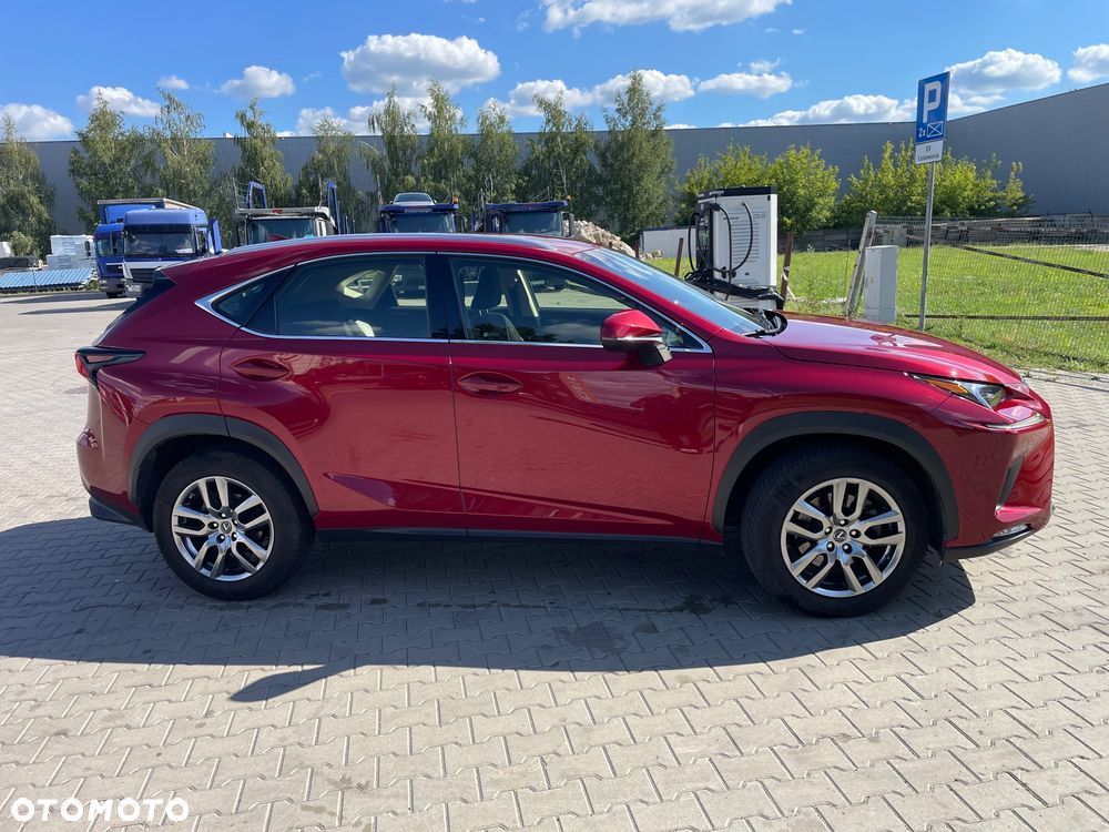 Lexus NX 300 Business Edition AWD - 12
