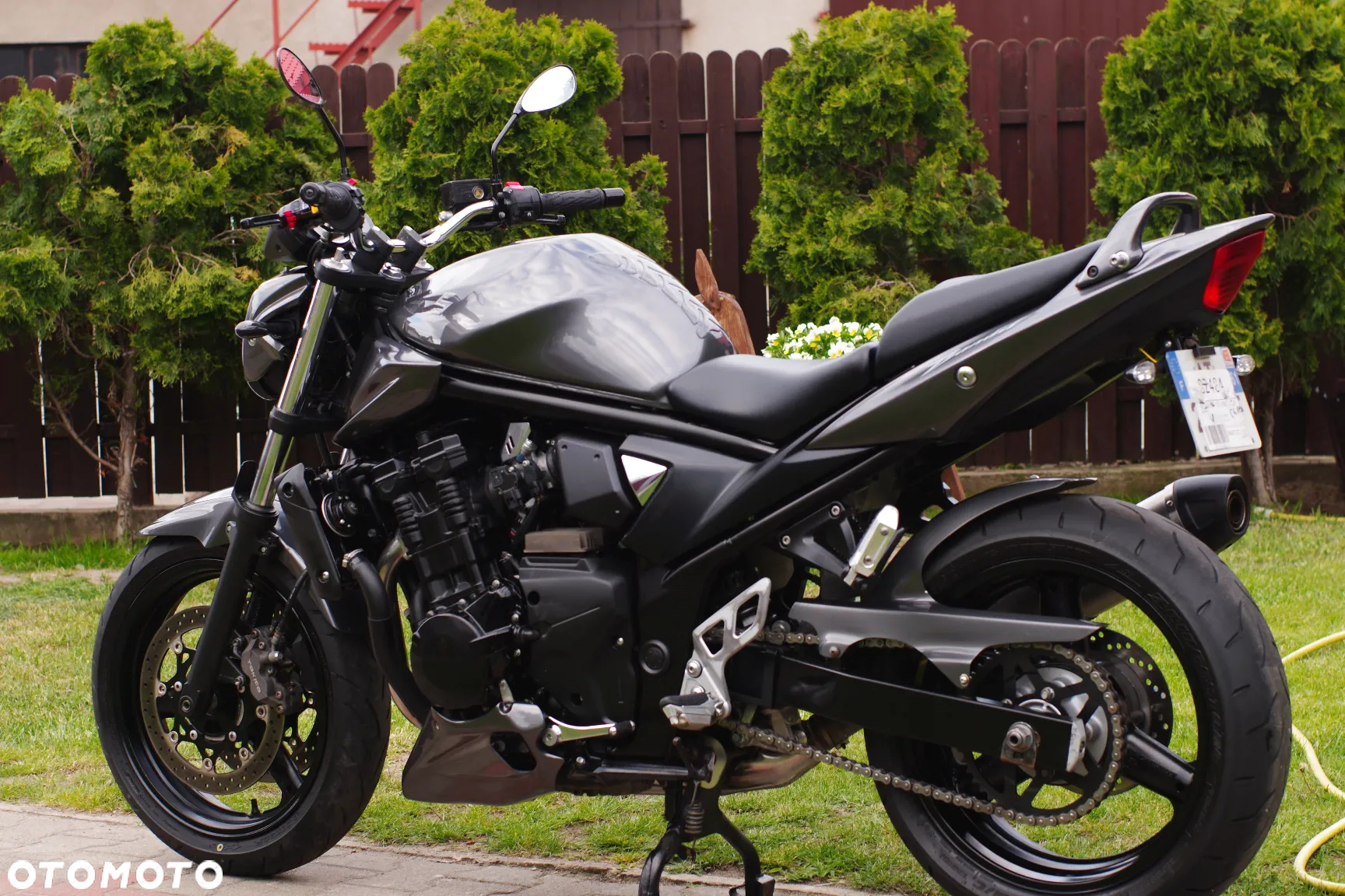 Suzuki Bandit - 21