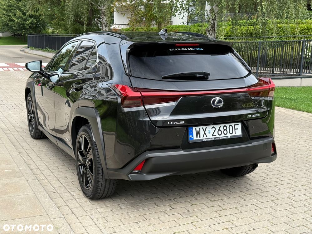 Lexus UX 250h F Sport 2WD - 10