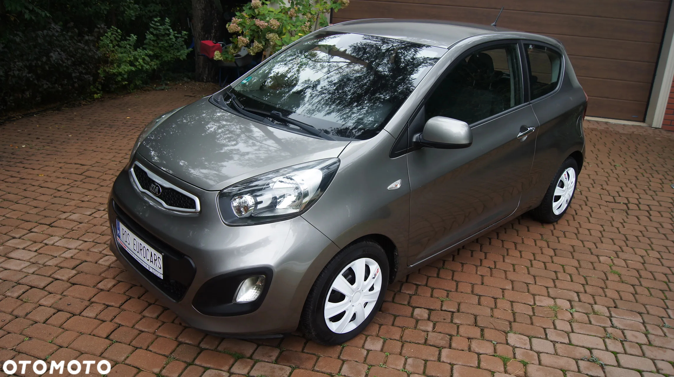 Kia Picanto 1.0 Dream Team Edition - 2