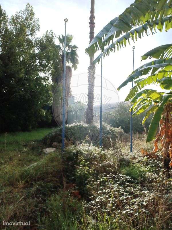 Industrial  para venda - Grande imagem: 4/9