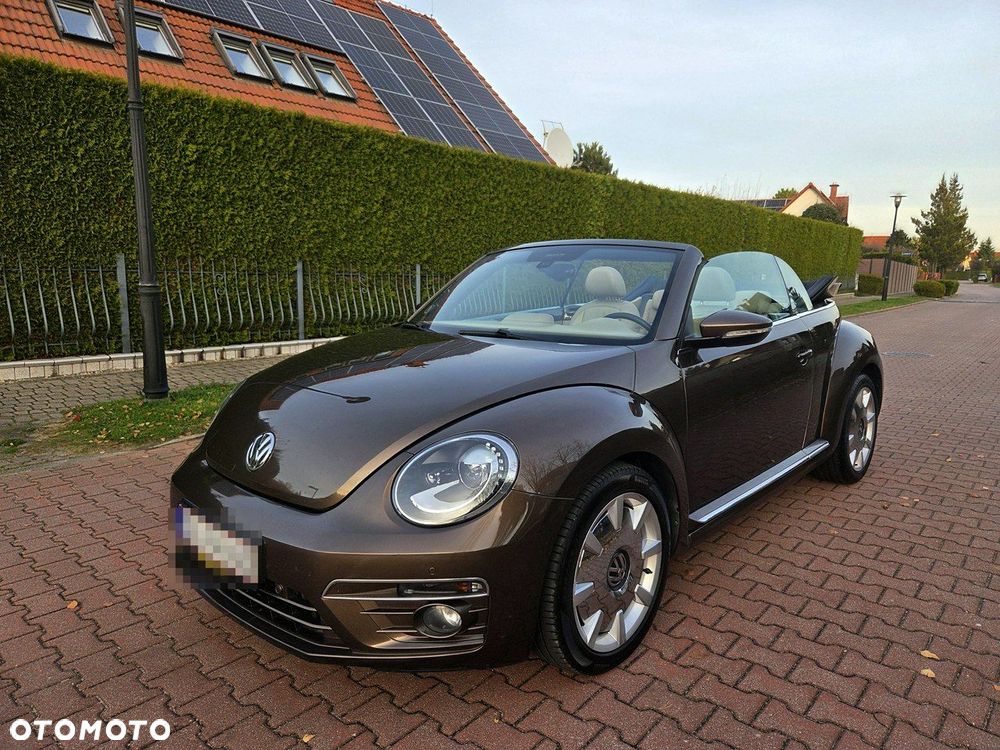 Volkswagen Beetle - 25