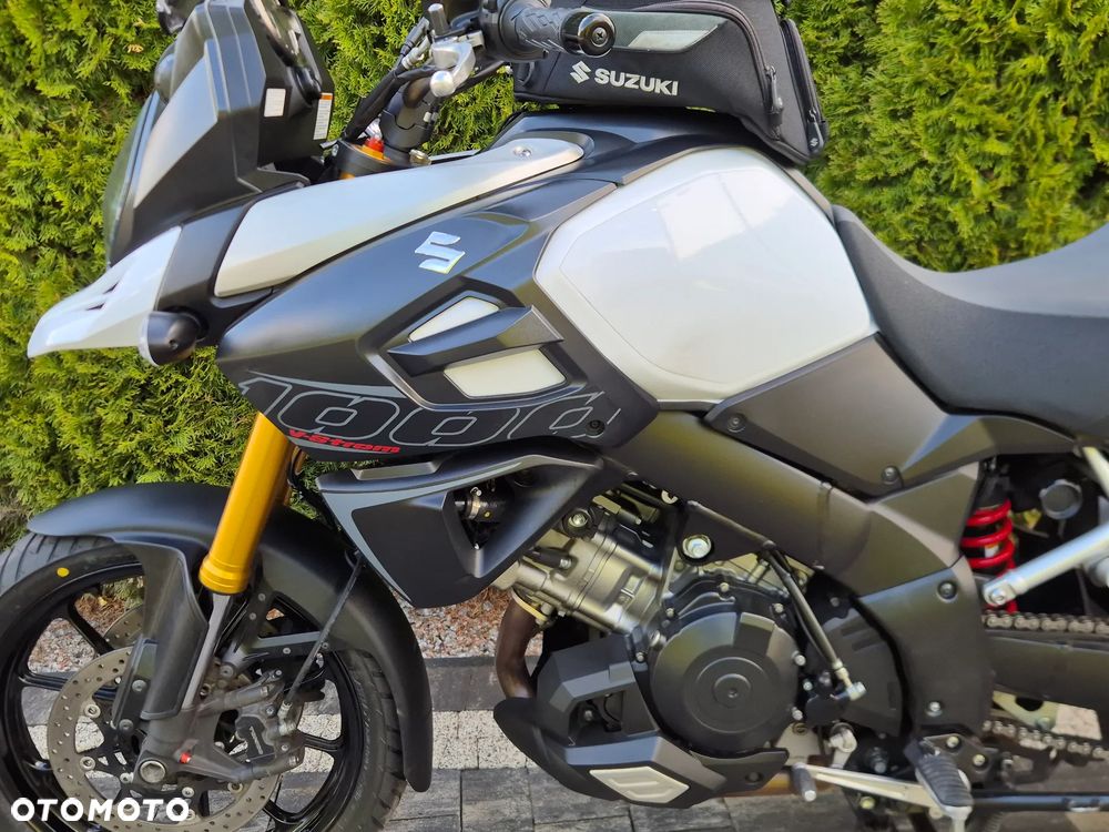 Suzuki DL - 21