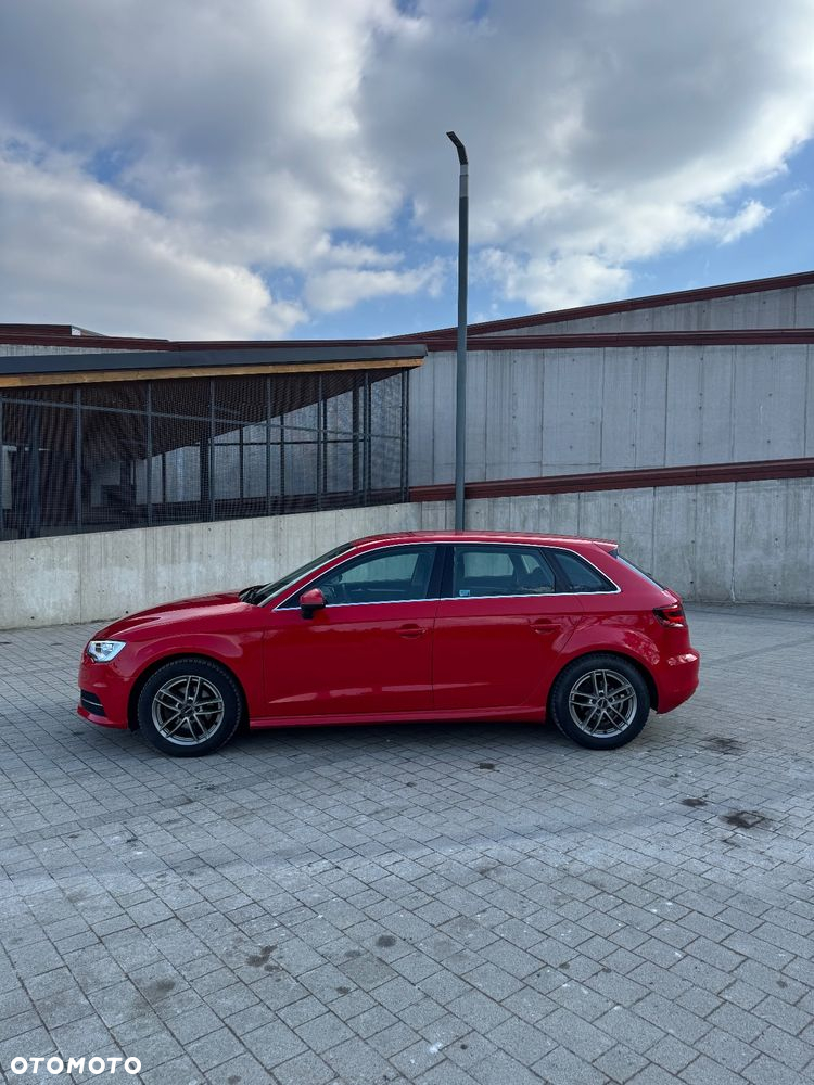 Audi A3 1.6 TDI ultra Attraction - 4