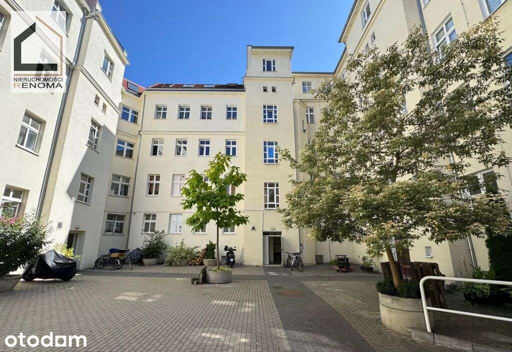 Tu Wilda pokazuje swoją najlepszą stronę