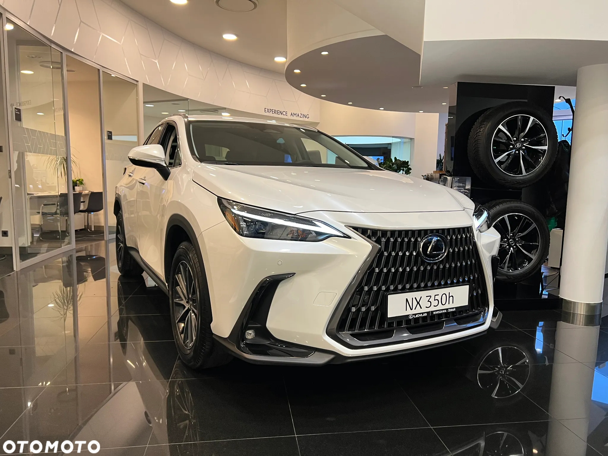 Lexus NX - 6