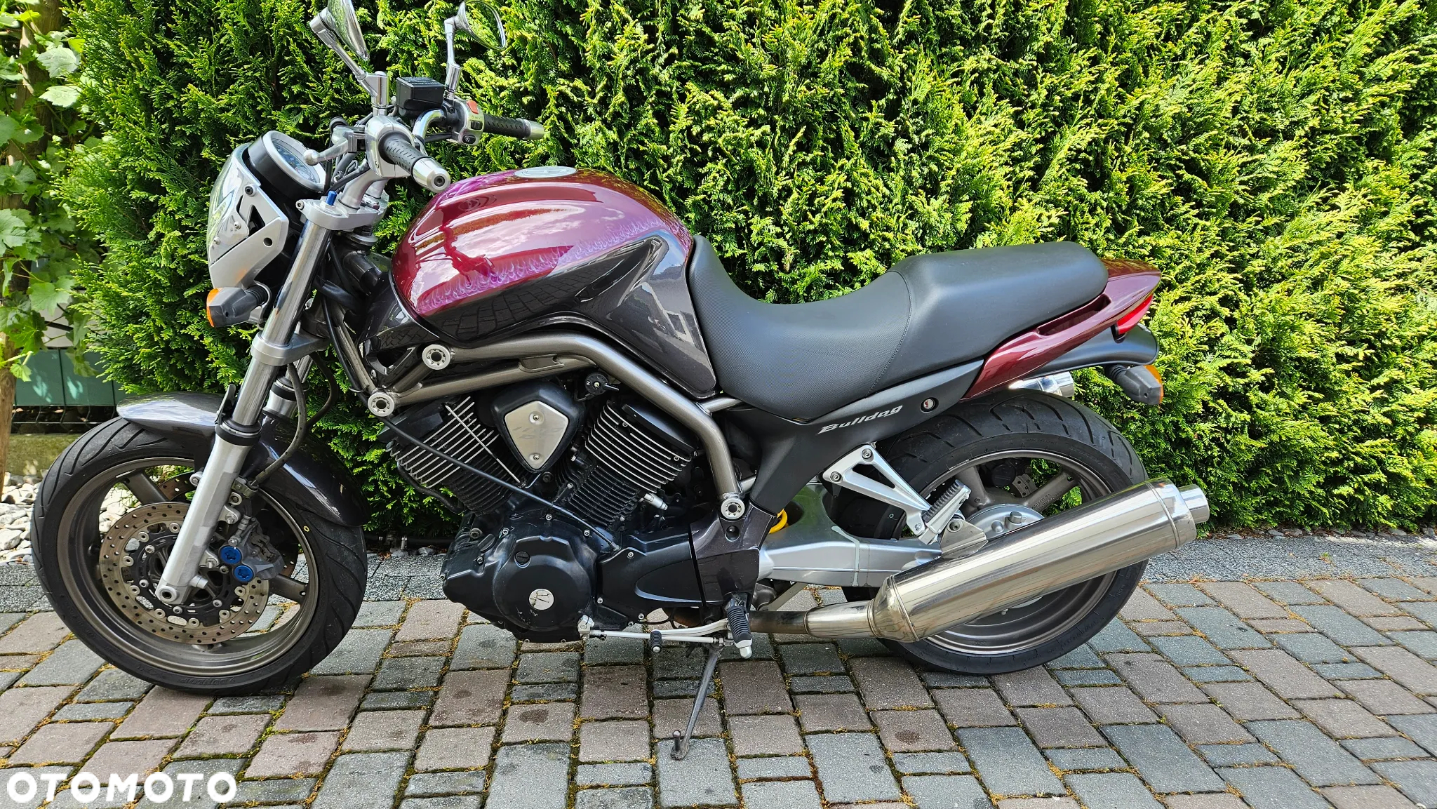 Yamaha Bulldog - 6