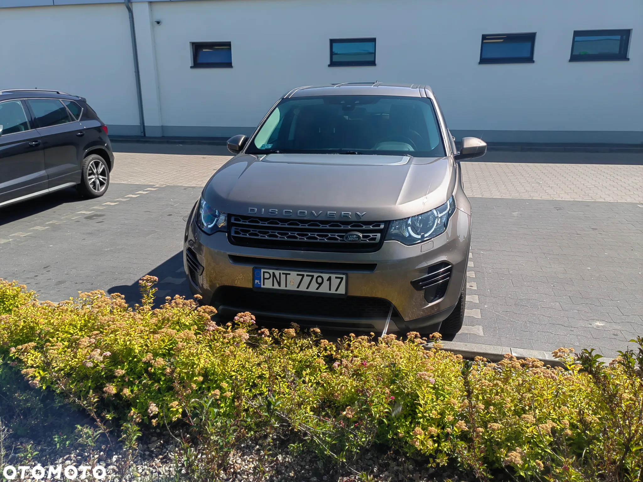 Land Rover Discovery Sport 2.0 TD4 Pure - 7