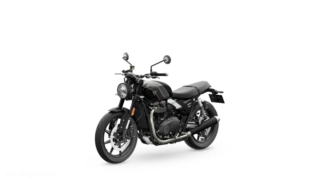 Triumph Speed Twin - 18