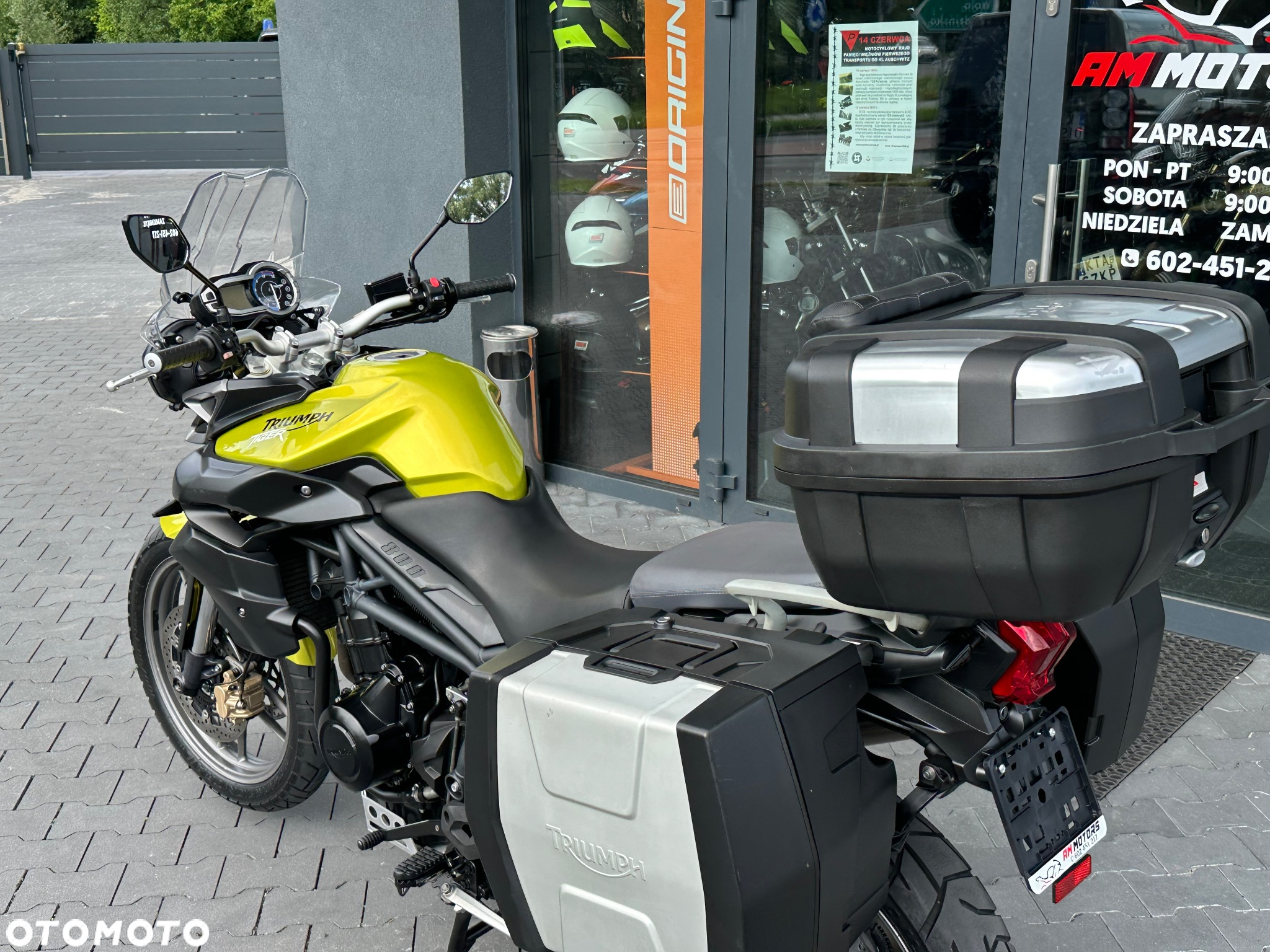Triumph Tiger - 29