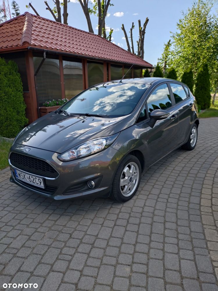 Ford Fiesta - 1