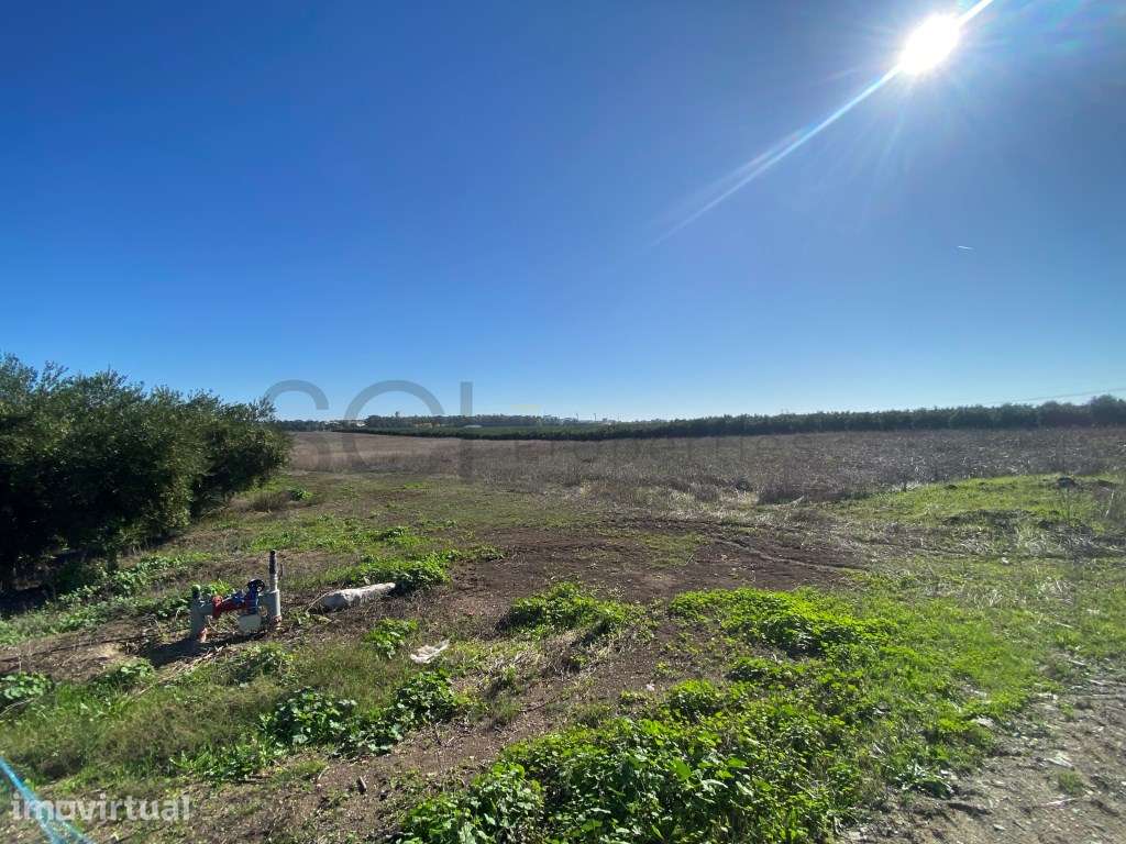 Terreno Rustico com cerca de quatro hectares, nas imediações da cid... - Grande imagem: 2/11