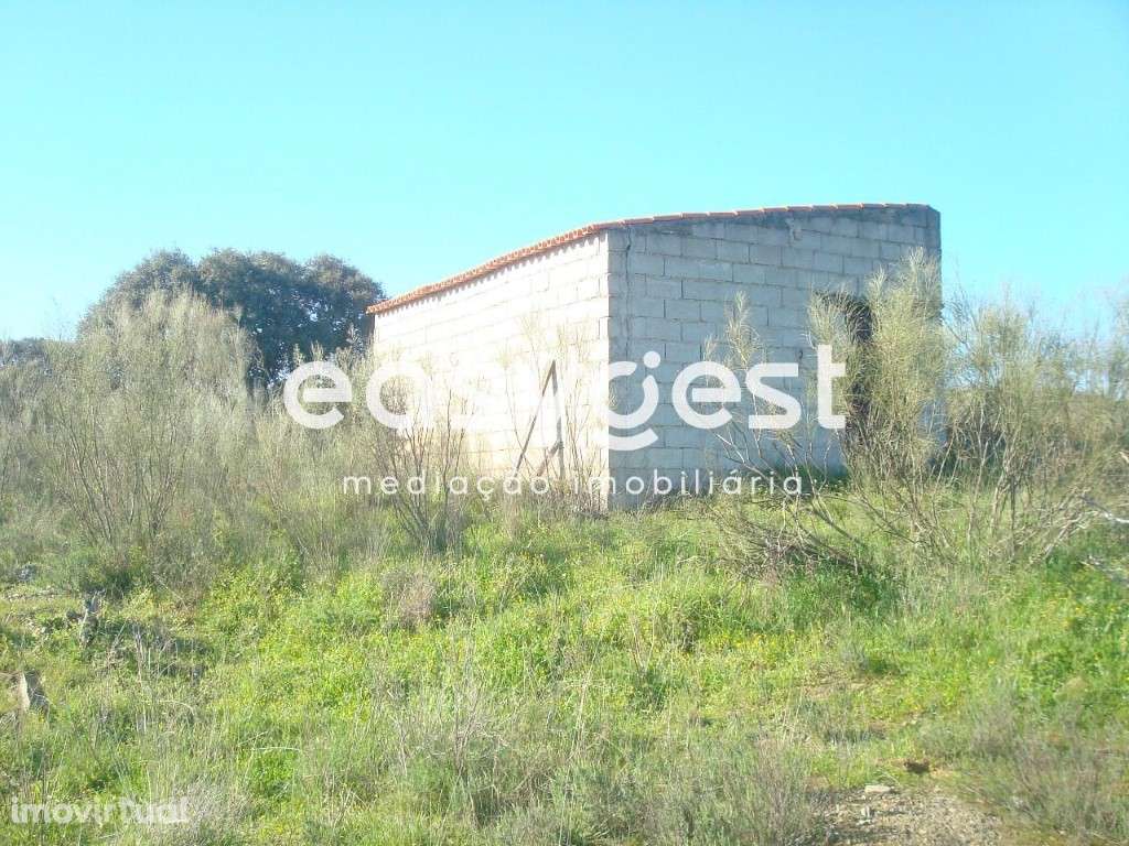 Terreno rústico de 7812 m2 - Grande imagem: 4/7