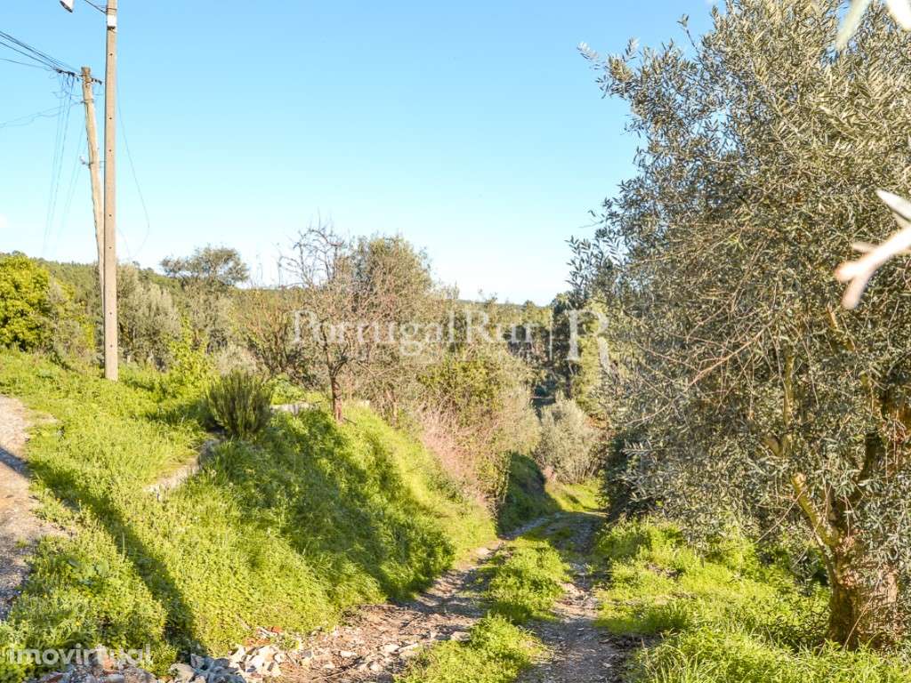 Lote de terreno com 1.600 m², para construção de moradia - Grande imagem: 4/19