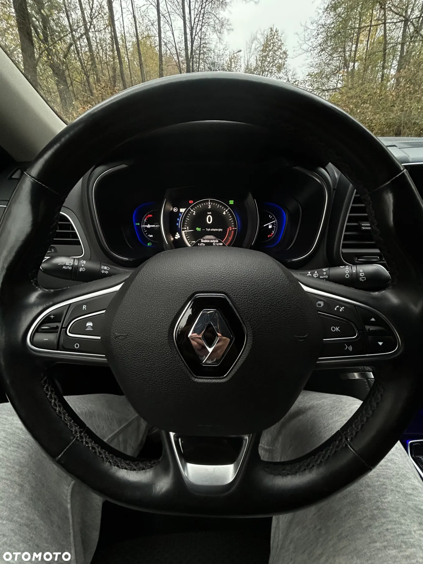 Renault Koleos 2.0 dCi Intens 4x4 X-Tronic - 17