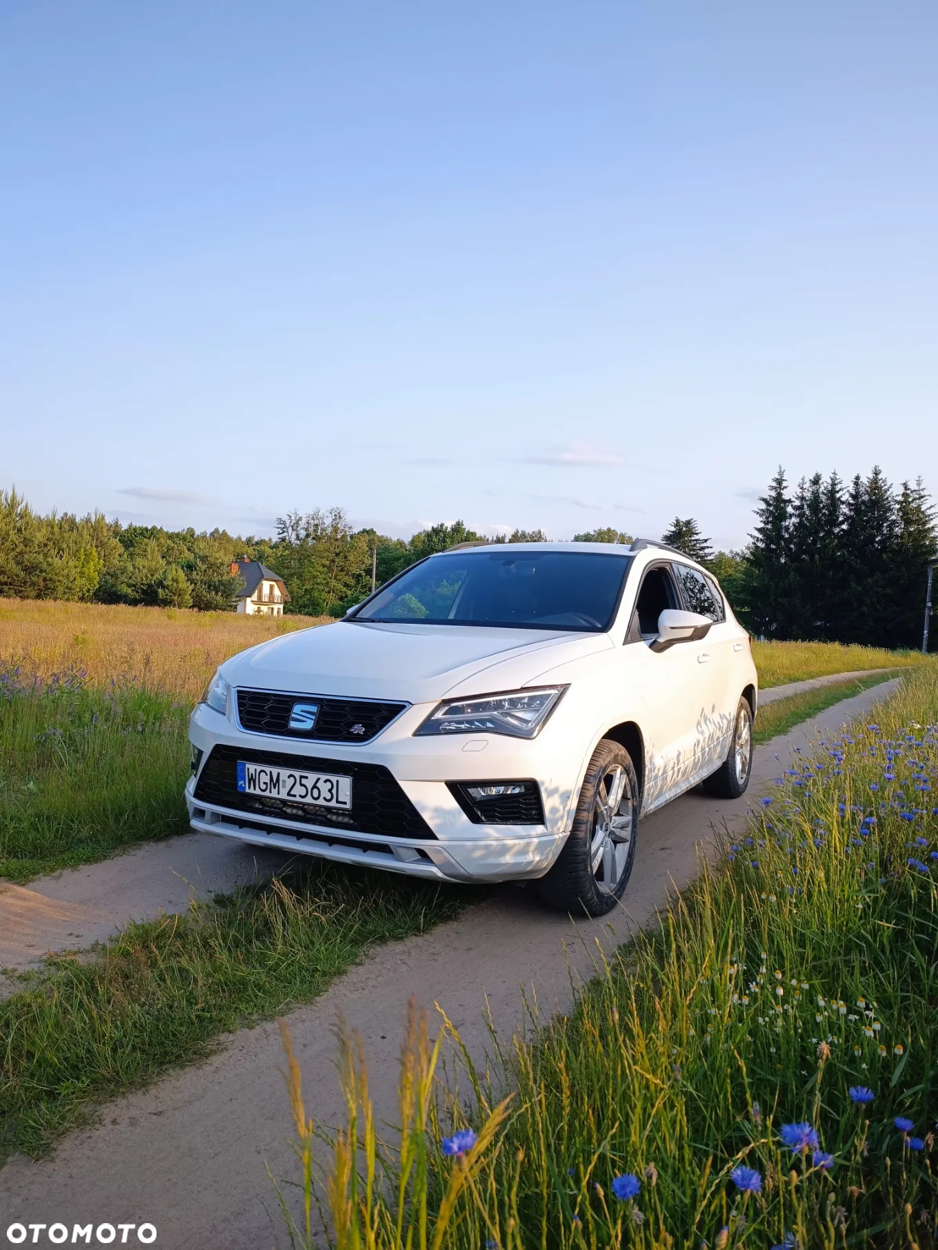 Seat Ateca 2.0 TDI 4Drive DSG FR - 11