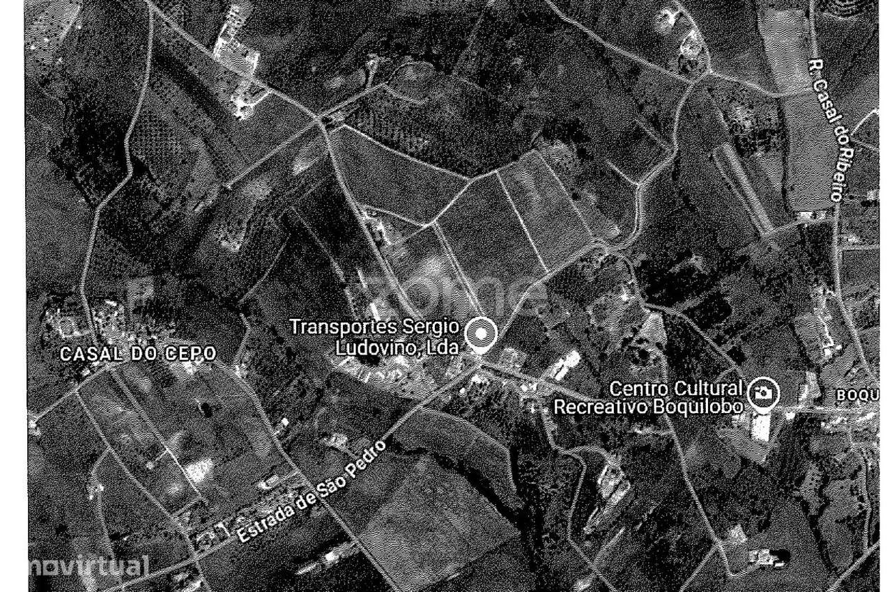 Quinta em Torres Novas - Grande imagem: 5/13