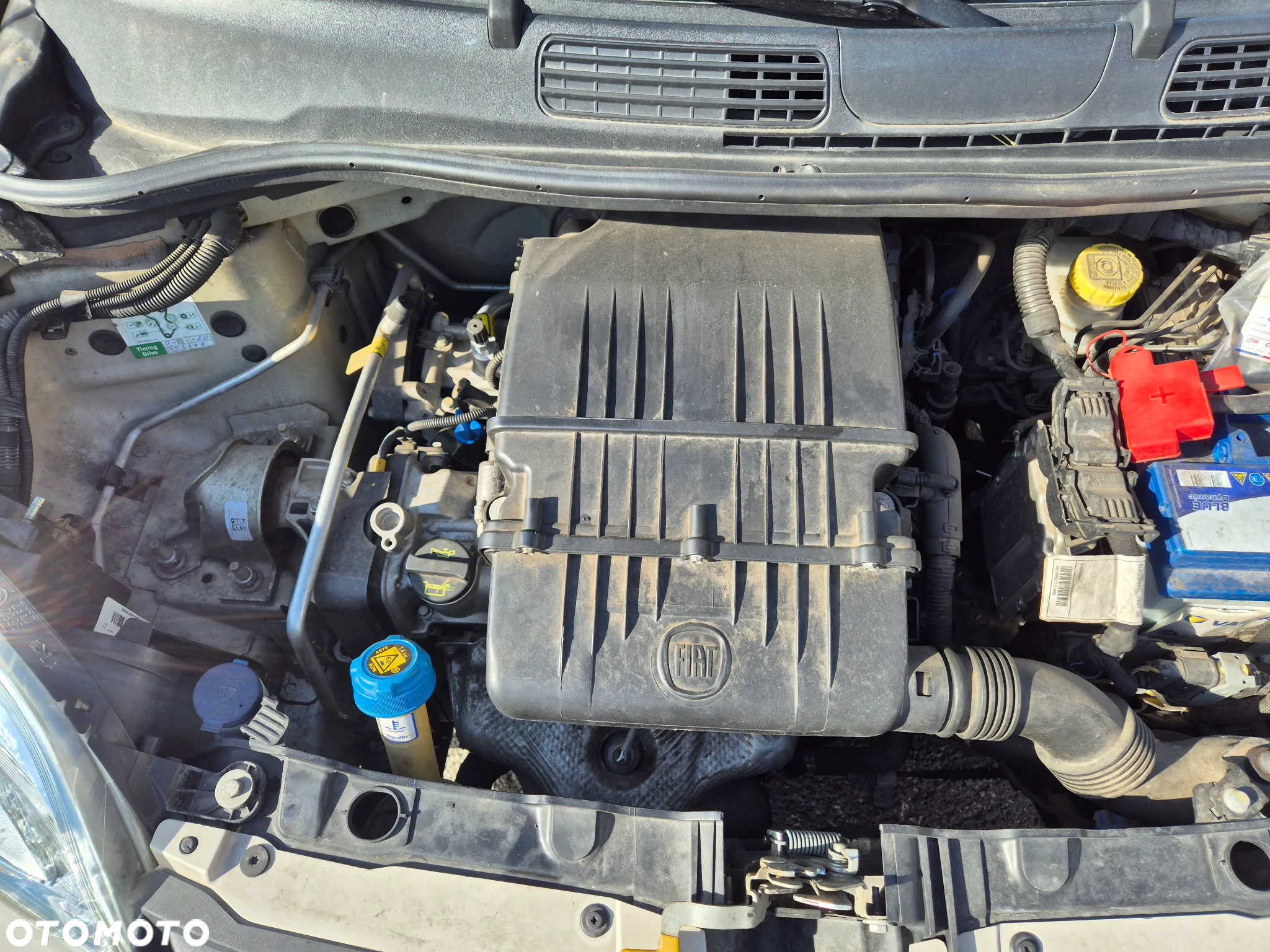 Fiat Panda 1.2 Easy - 24