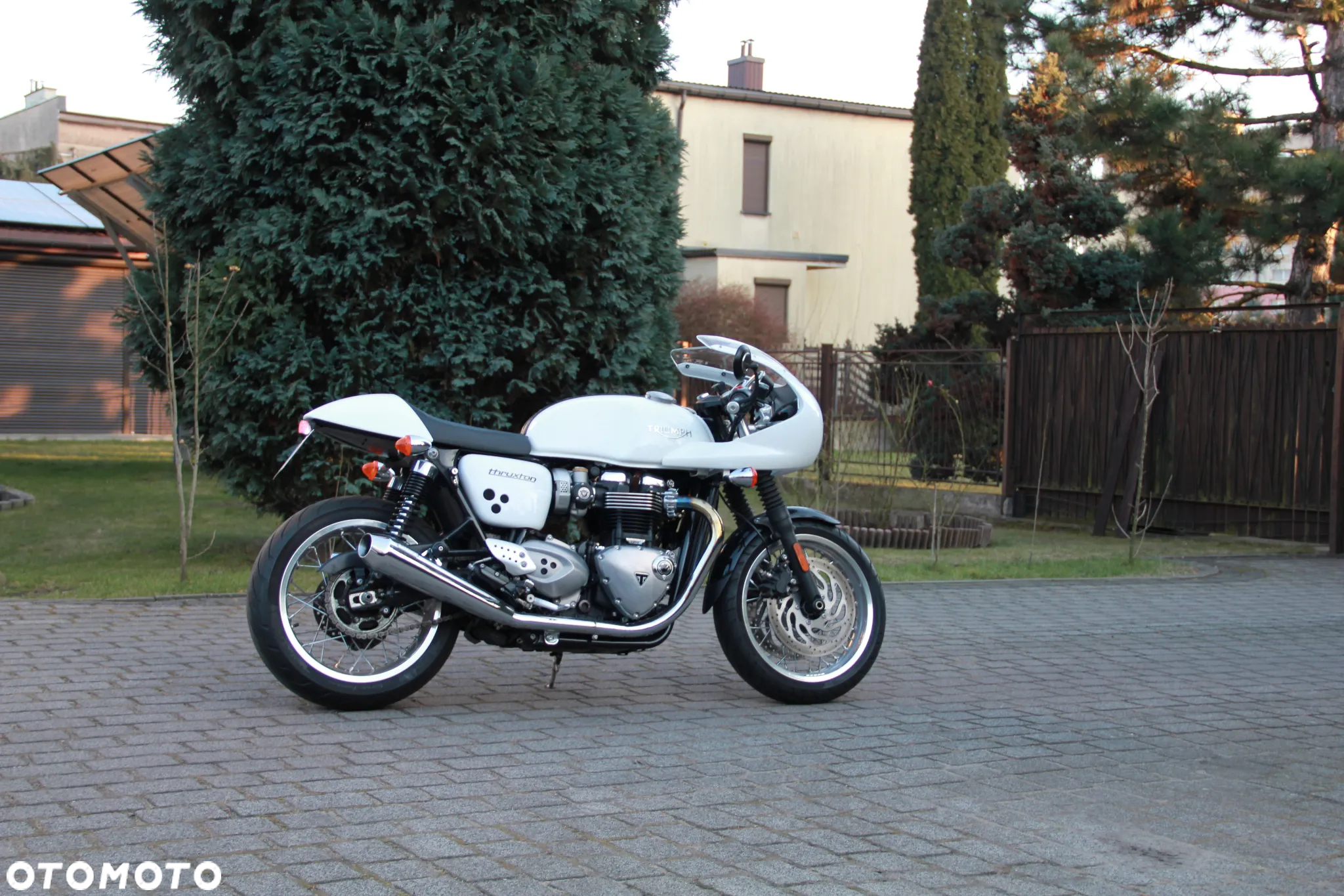 Triumph Thruxton - 3