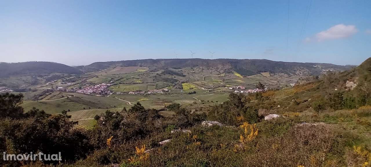 Terreno Rústico c/NASCENTE e eletricidade | 10 min Torres Vedras - Grande imagem: 3/16