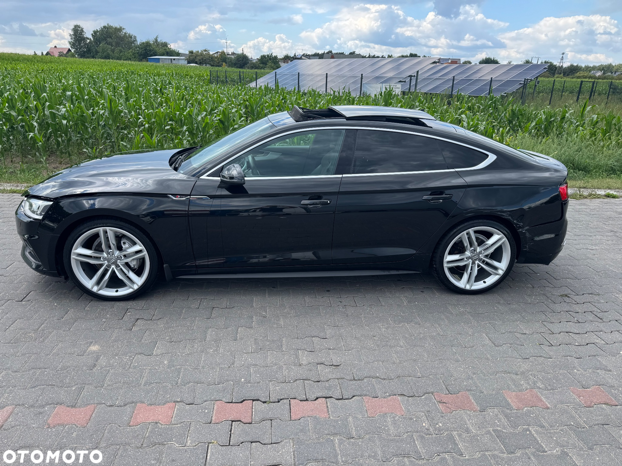Audi A5 Sportback 2.0 TDI quattro S tronic - 15