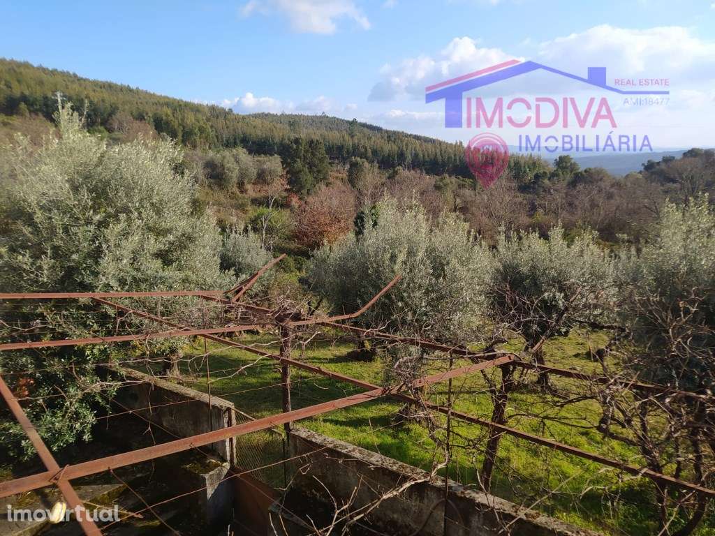 Moradia T3 com anexos - Grande imagem: 3/36