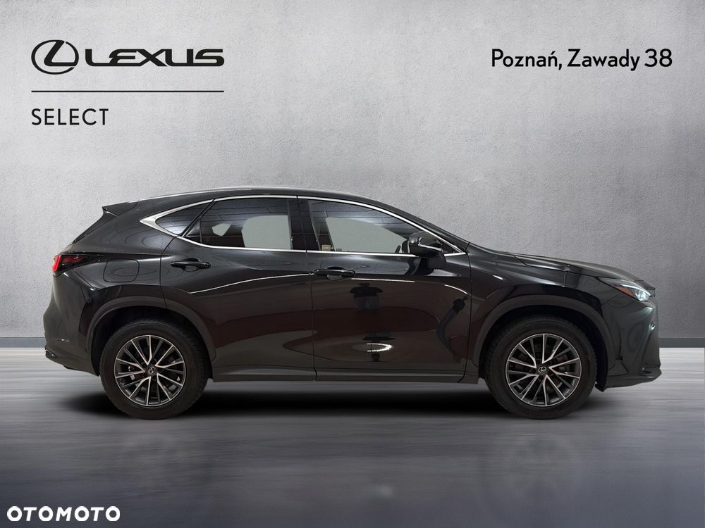 Lexus NX 450h+ Prestige AWD - 5