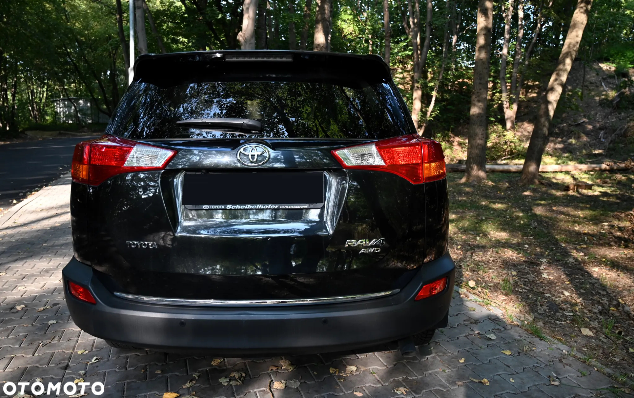 Toyota RAV4 - 20