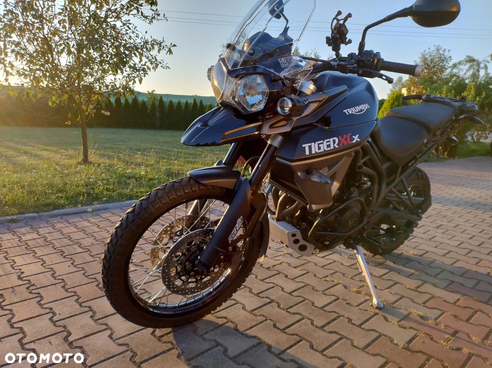 Triumph Tiger - 7