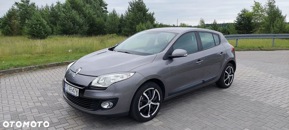 Renault Megane 1.6 16V Limited - 24