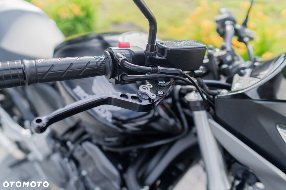 Honda Hornet - 17