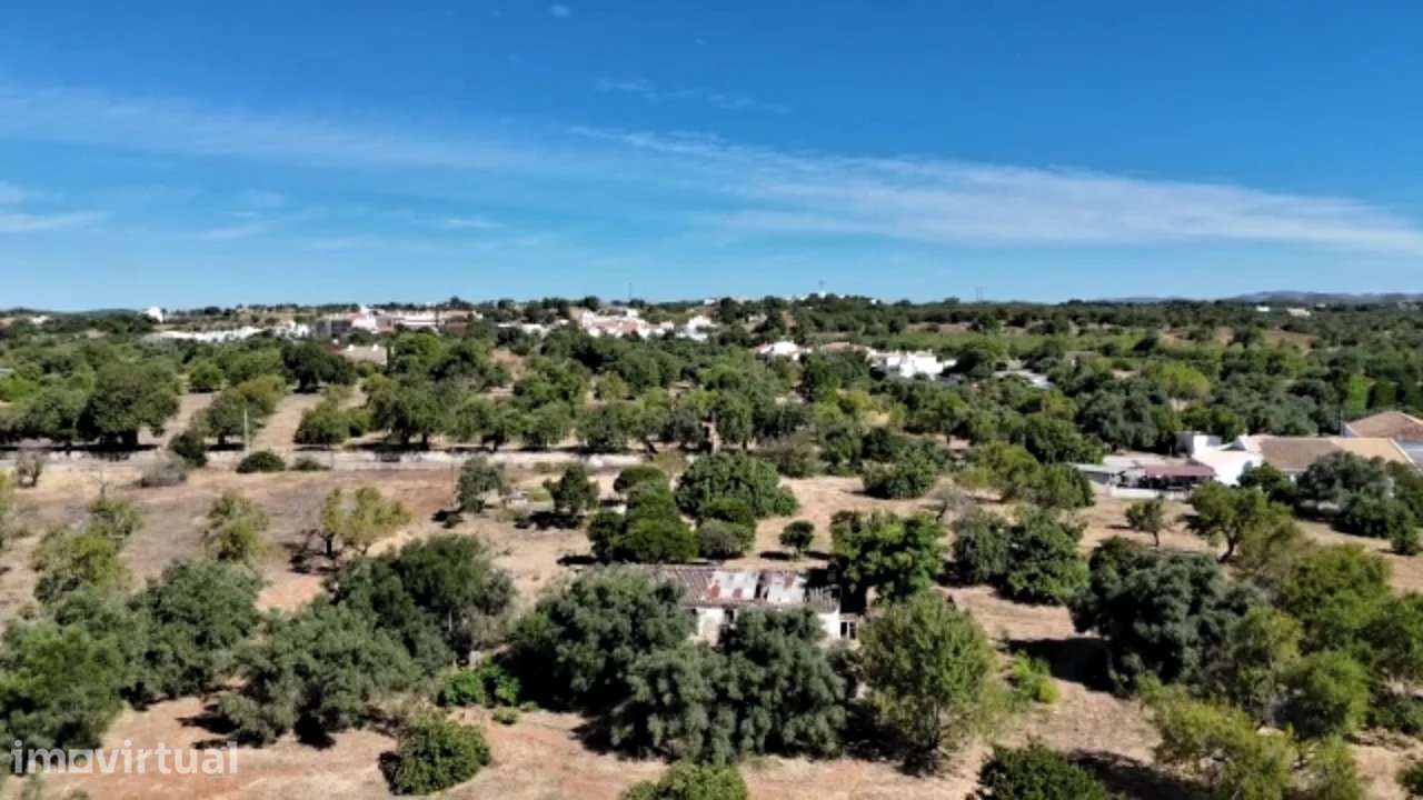 Quinta tradicional em Santo Estêvão, Tavira - Grande imagem: 5/54