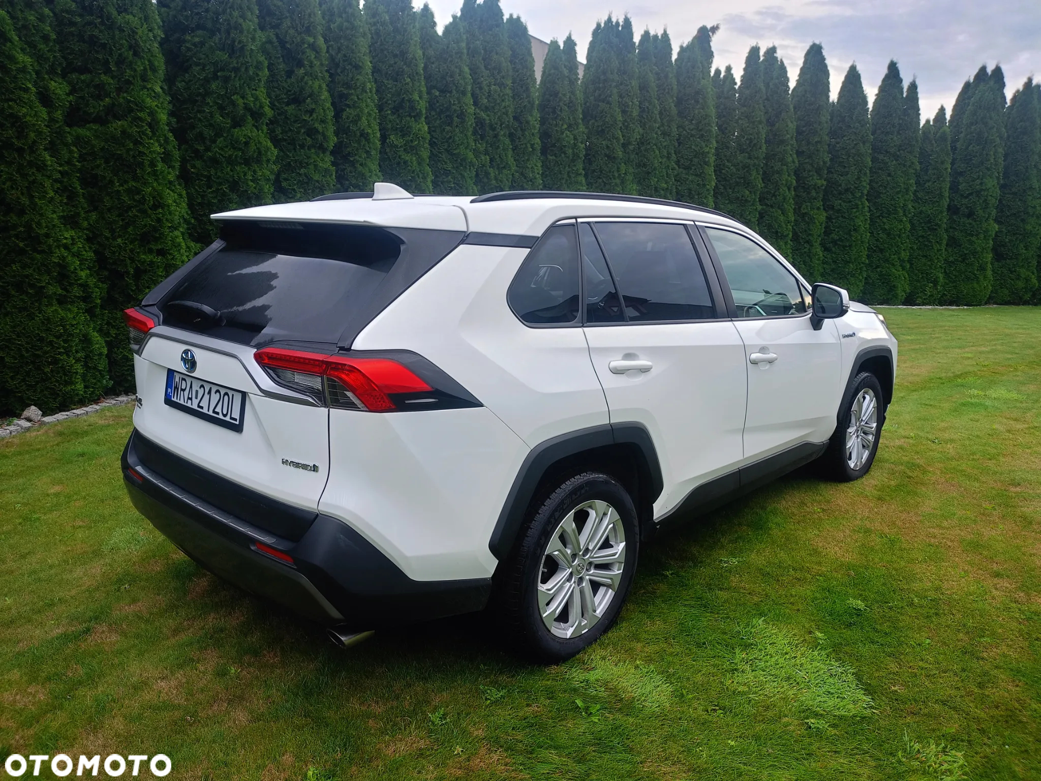 Toyota RAV4 2.5 4x2 Hybrid Business Edition - 4