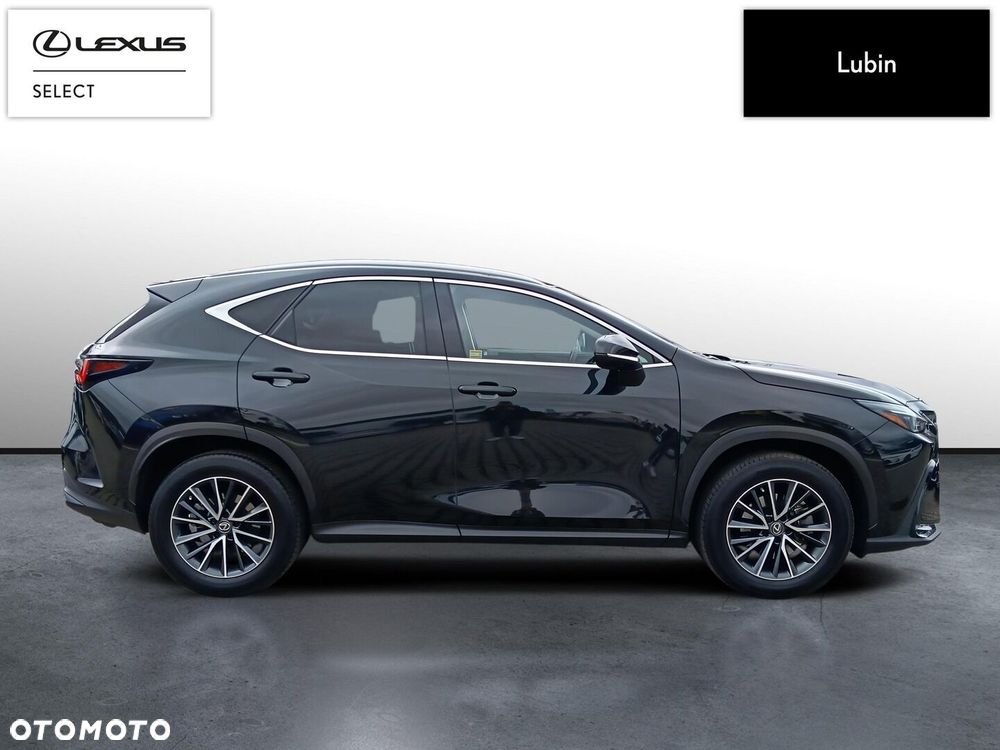 Lexus NX 350h Prestige AWD - 7