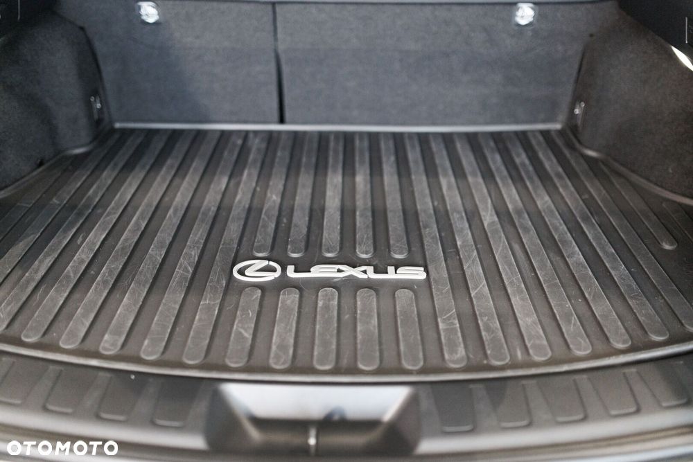 Lexus UX 300h F Sport AWD - 18