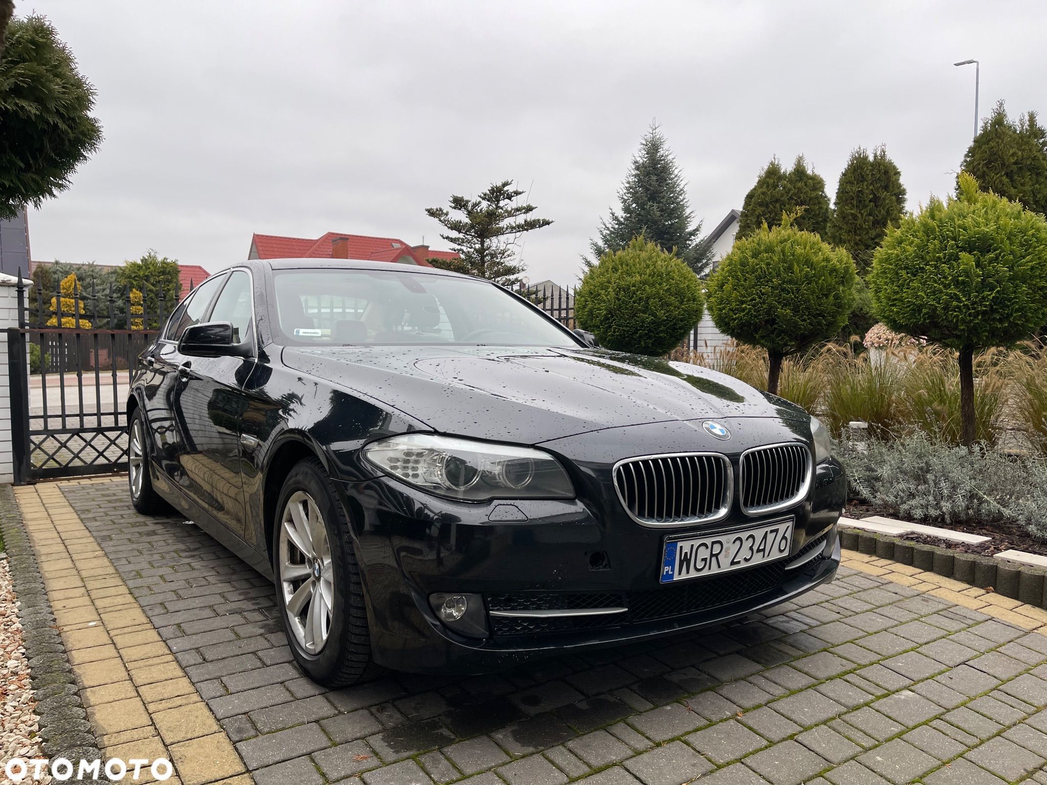 BMW Seria 5 - 1