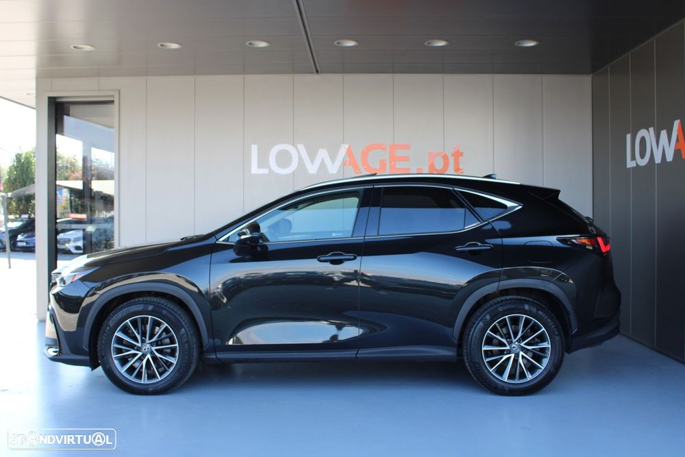 Lexus NX 450h+ Executive - 20