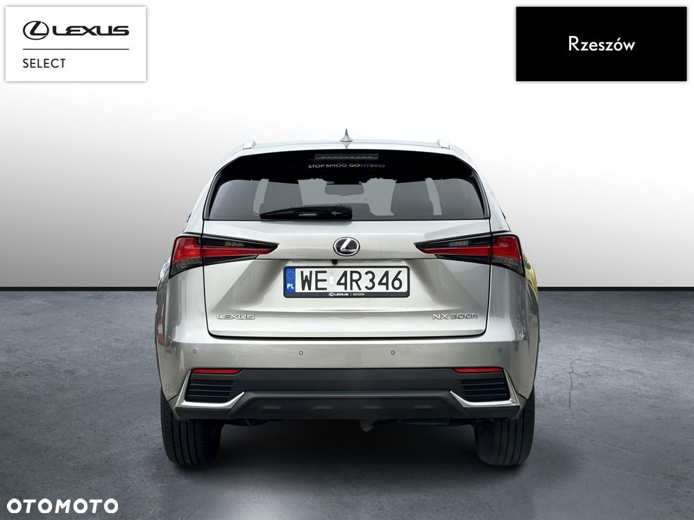 Lexus NX 300h F Impression AWD - 4