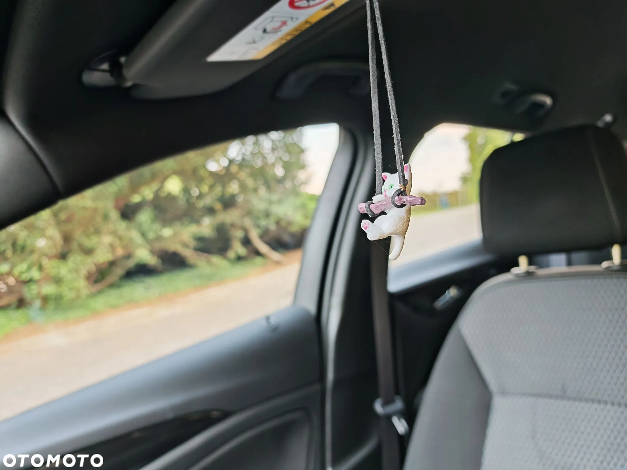 Opel Insignia 2.0 CDTI Elegance S&S - 22