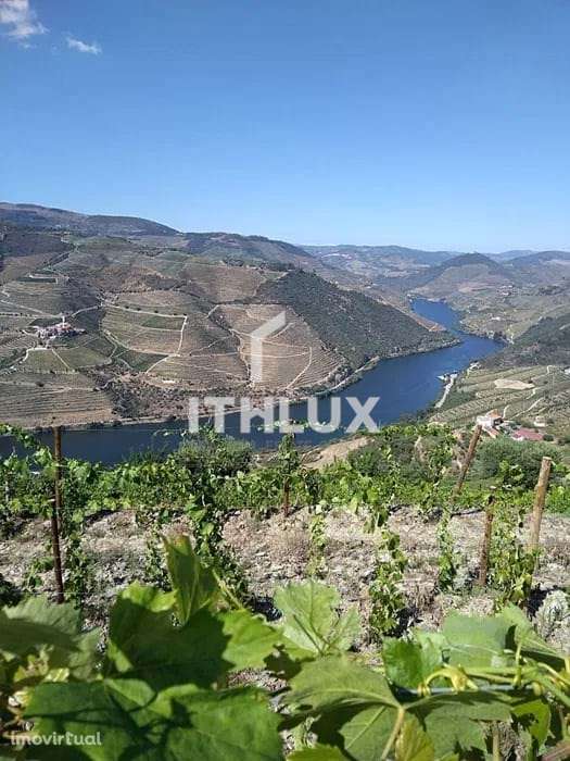 Quinta com Adega em Adorigo – Tabuaço - Grande imagem: 5/13