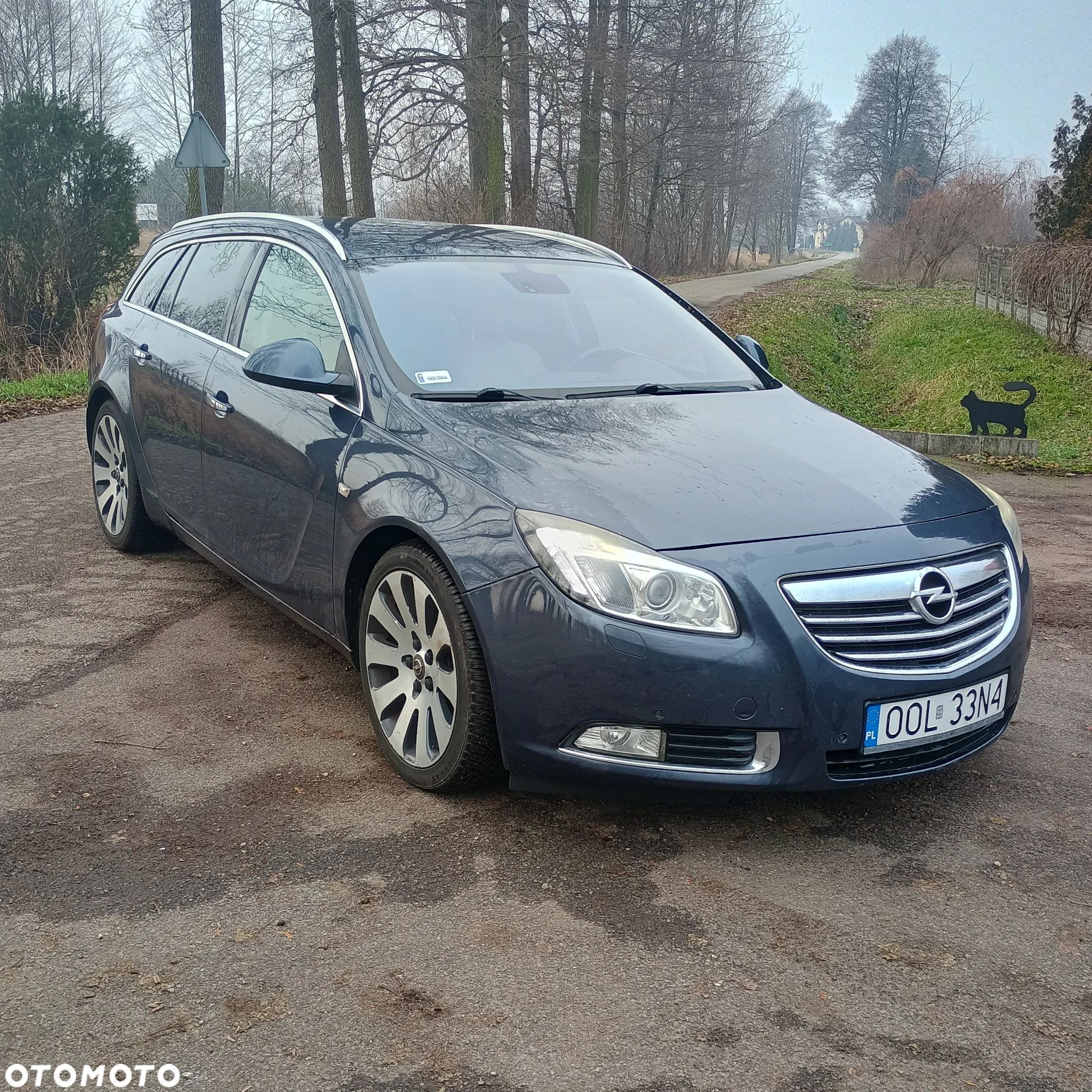 Opel Insignia 2.0 CDTI Cosmo - 1